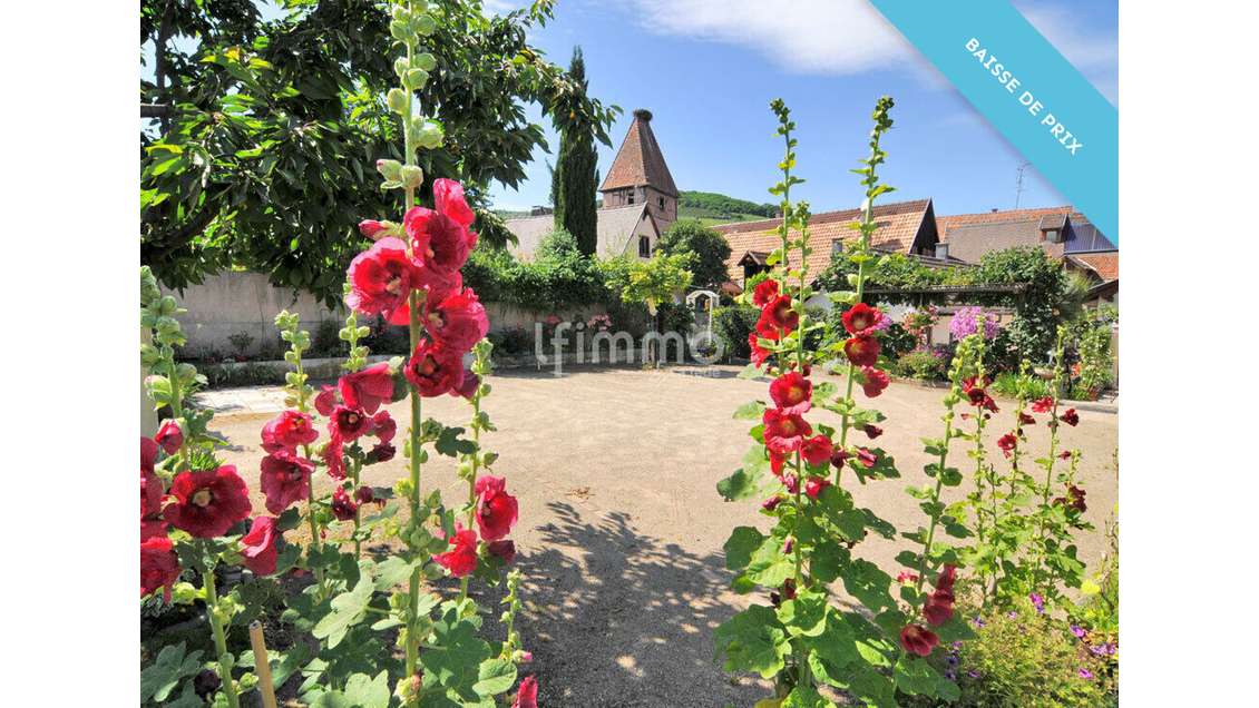 AV propriété touristique de 428m² à Ammerschwihr
