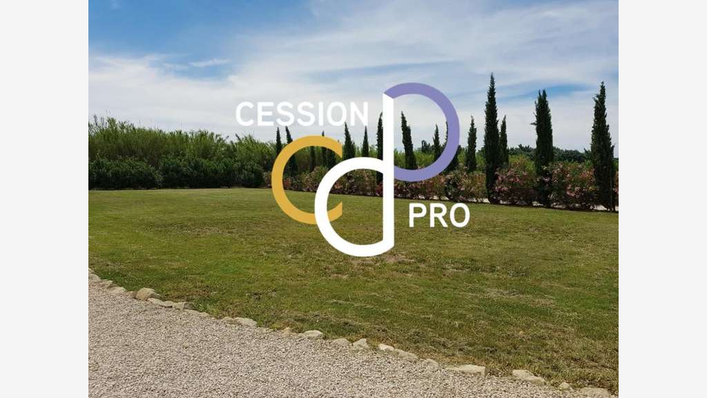 MAS DE 250 M² SUR 1 200 M² A CEDER AU SUD D