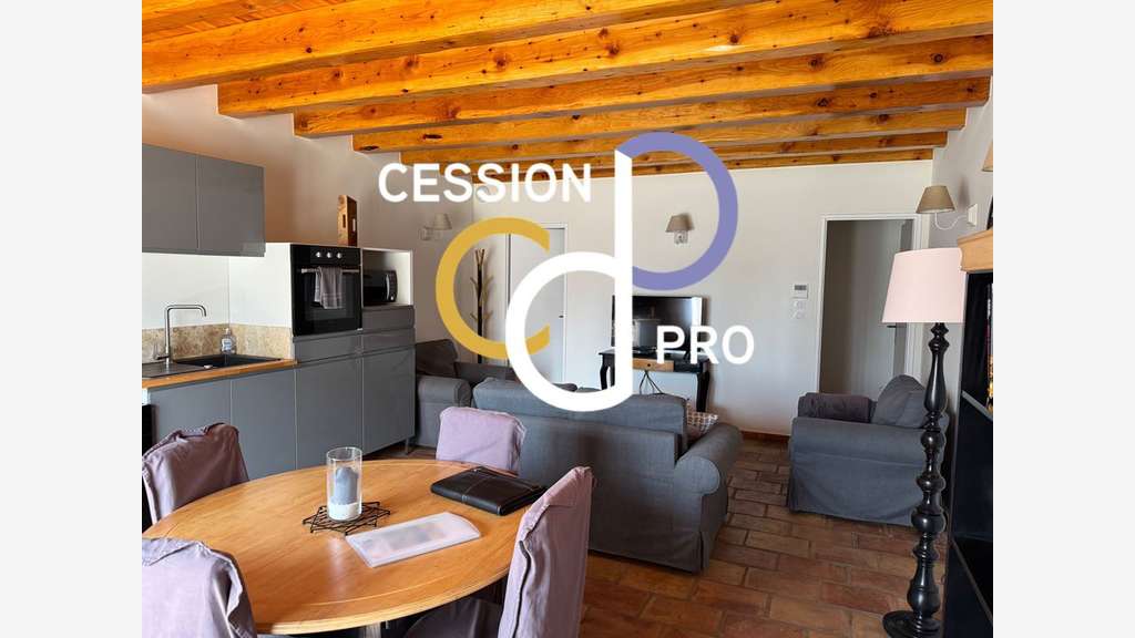 MAS DE 250 M² SUR 1 200 M² A CEDER AU SUD D