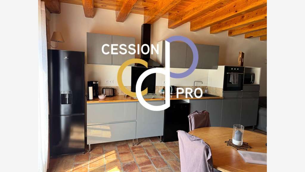 MAS DE 250 M² SUR 1 200 M² A CEDER AU SUD D