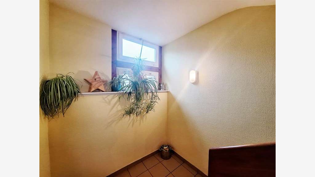 Vente ensemble immobilier à Bischheim