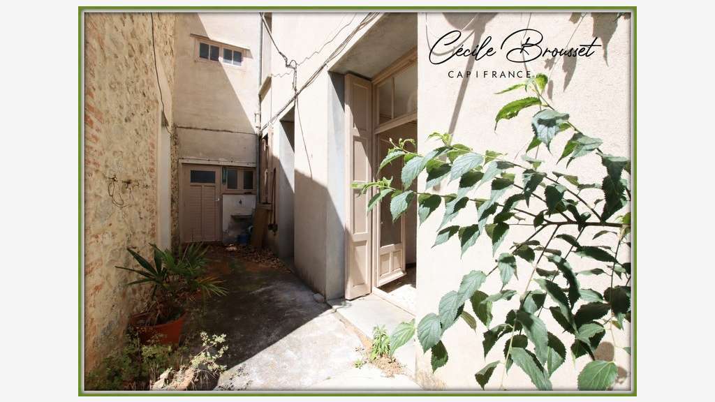 Vente immeuble à rénover à Céret ( 66400)