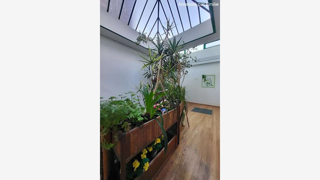 Vente immeuble 7 lots à Douai hyper centre