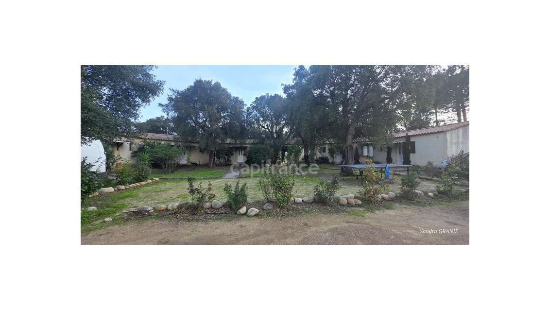 Maisons à vendre 6 lots à Lecci