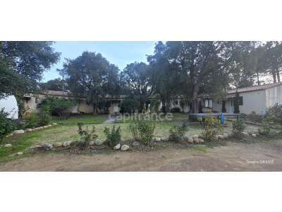 Vente Immeubles commerciaux / Mixtes à Lecci