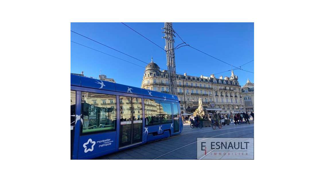 Cède immeuble de rapport 172m² Montpellier Ecusson