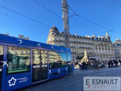 Vente Immeubles commerciaux / Mixtes à Montpellier