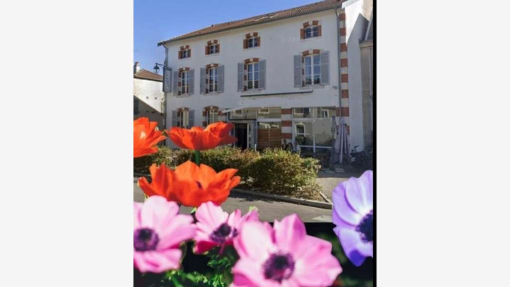 IMMEUBLE à vendre secteur NEUFCHATEAU (88) avec 1