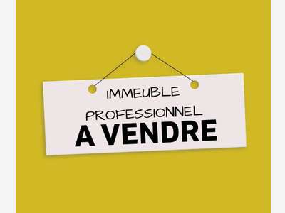 AV immeuble professionnel 700m² Bassin Rumillien