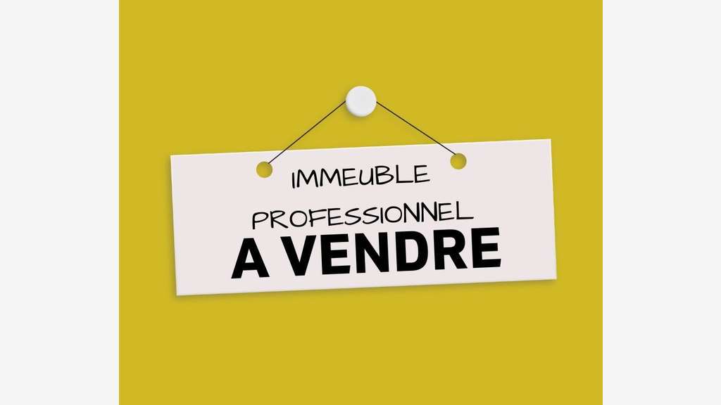 AV immeuble professionnel 700m² Bassin Rumillien