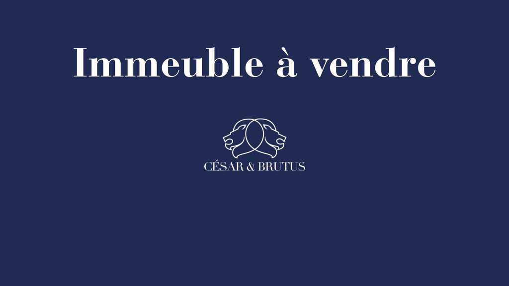 AV immeuble 570m² Idéal investisseur Saint-Étienne