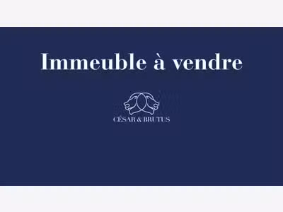 AV immeuble 570m² Idéal investisseur Saint-Étienne