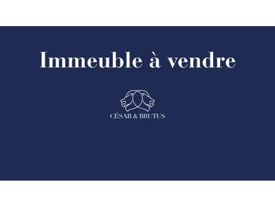 Vente Immeubles commerciaux / Mixtes à Saint-Étienne