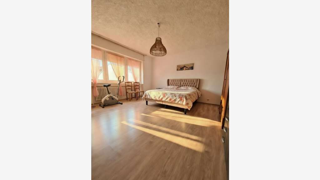 Vente maison de rapport et terrain à Talange