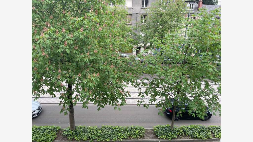 Immeuble professionnel 355m² à Tours centre