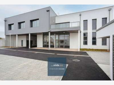 Bureaux premium RE2020 820 m² aménagés clé en main