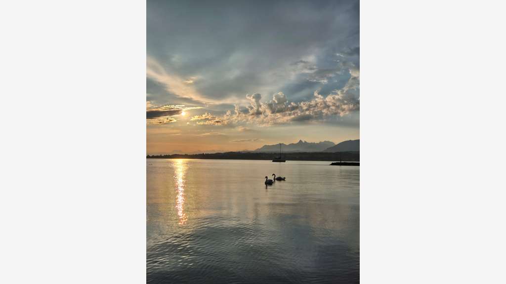 Murs commerciaux à vendre au bord du Lac Léman