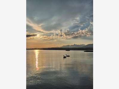 Murs commerciaux à vendre au bord du Lac Léman