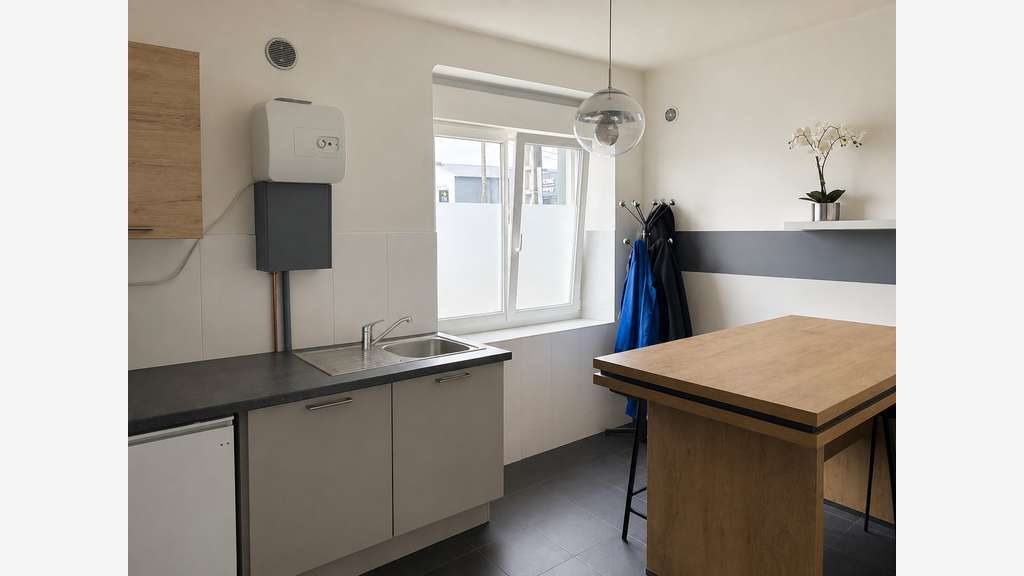 Ensemble immobilier mixte 500 m² + 2 logements