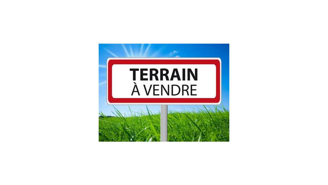 Terrain d'activité 40000m²/18000m² constructible