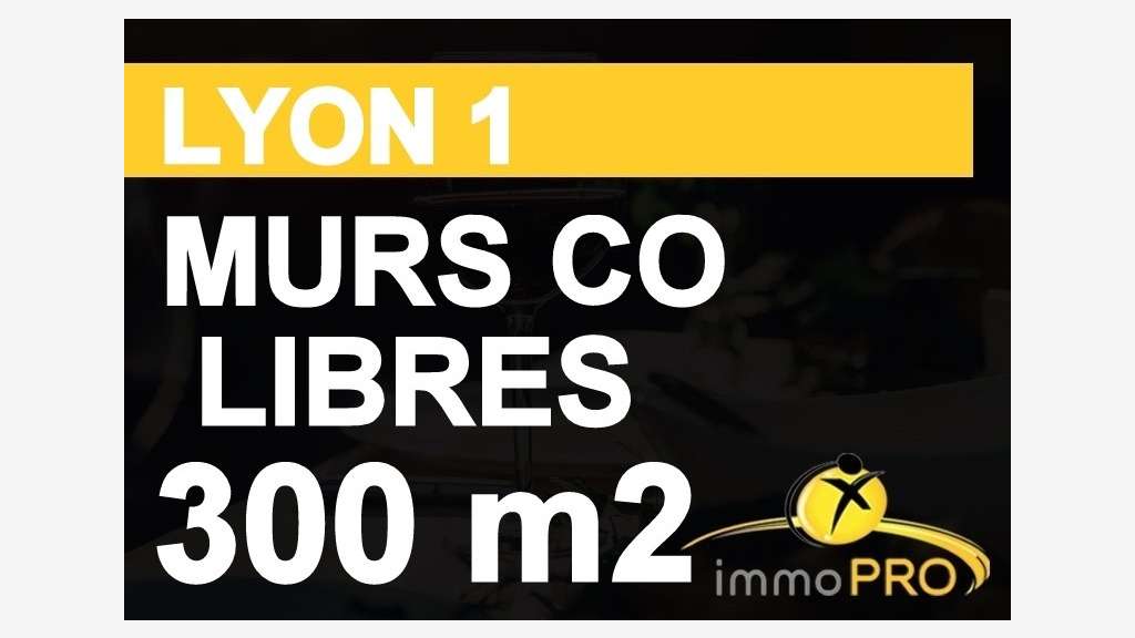 A vendre murs commerciaux 302m² à Lyon 1er