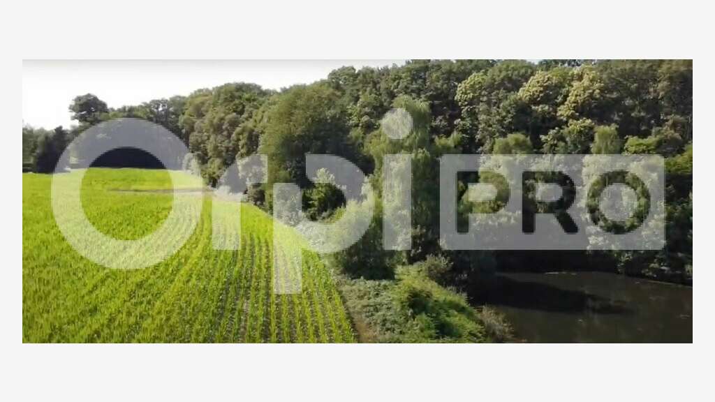 Vente magnifique propriété sur 632ha à Limoges