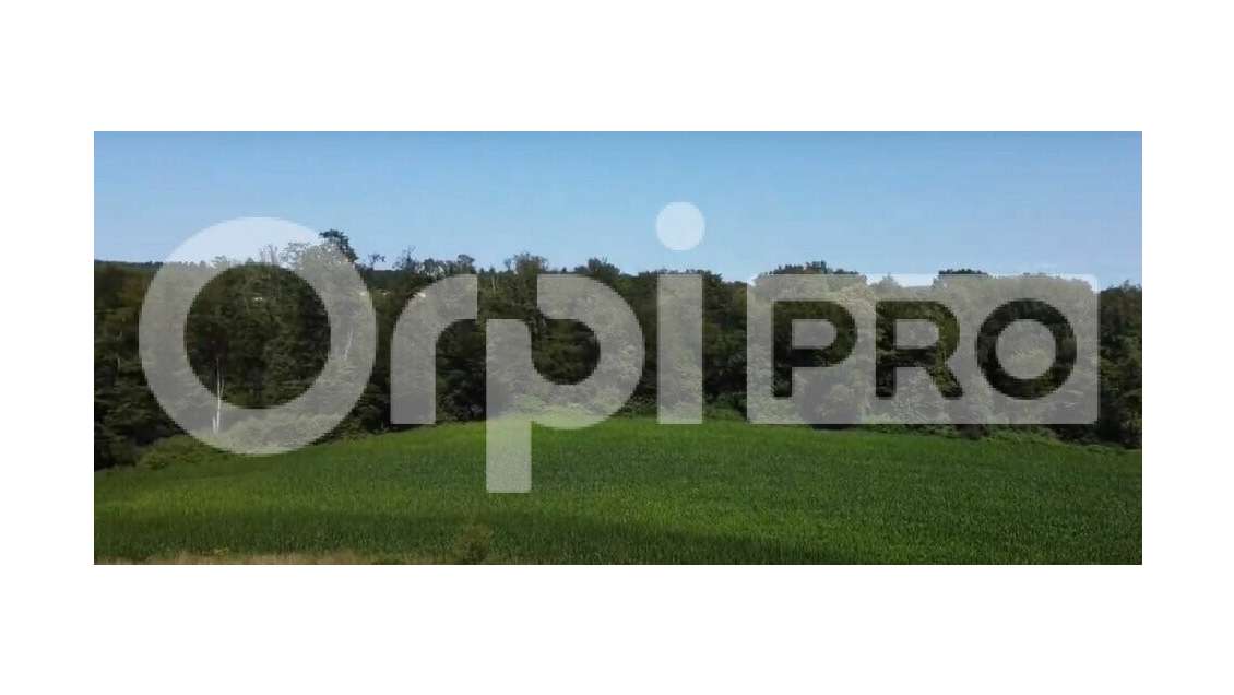 Vente magnifique propriété sur 632ha à Limoges