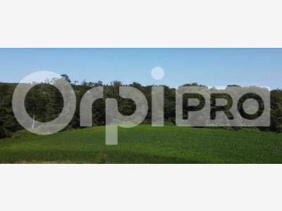Vente magnifique propriété sur 632ha à Limoges
