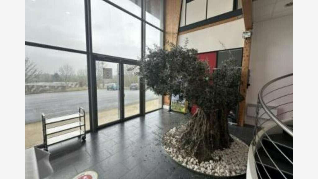 Local d'activité 3000m² à vendre à Berd'Huis 