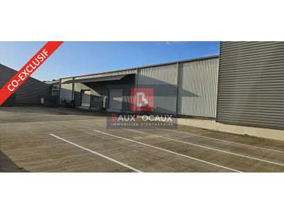 Vente Locaux d'activités - Entrepôts à Entraigues-sur-la-Sorgue