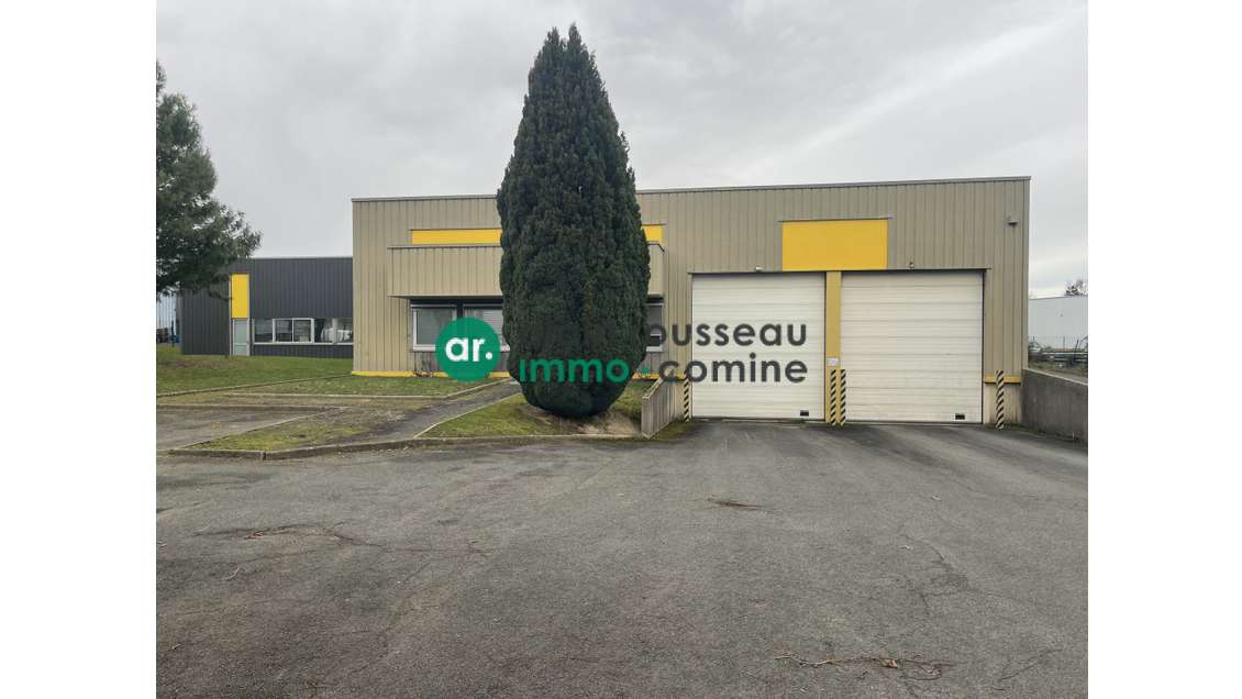 A VENDRE - LOCAL D'ACTIVITE 1330 M² - BEAUCOUZE