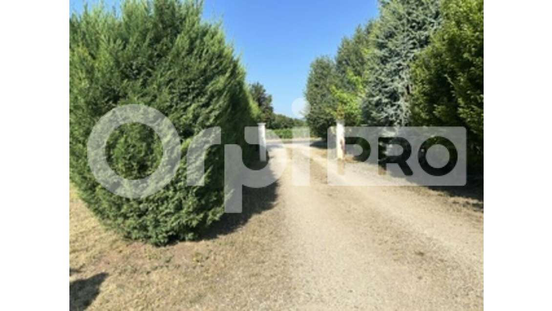 Très beau domaine à vendre à Belleville 
