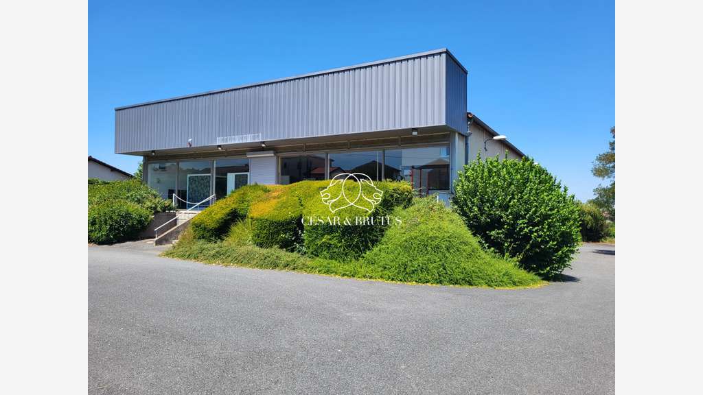 Immobilier Professionnel à vendre 