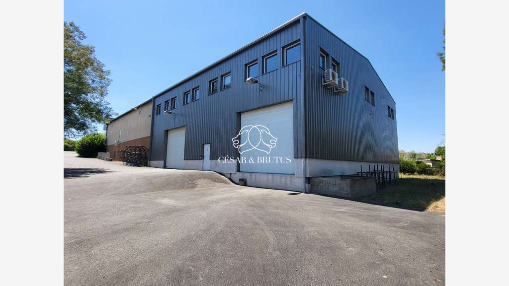 Immobilier Professionnel à vendre 