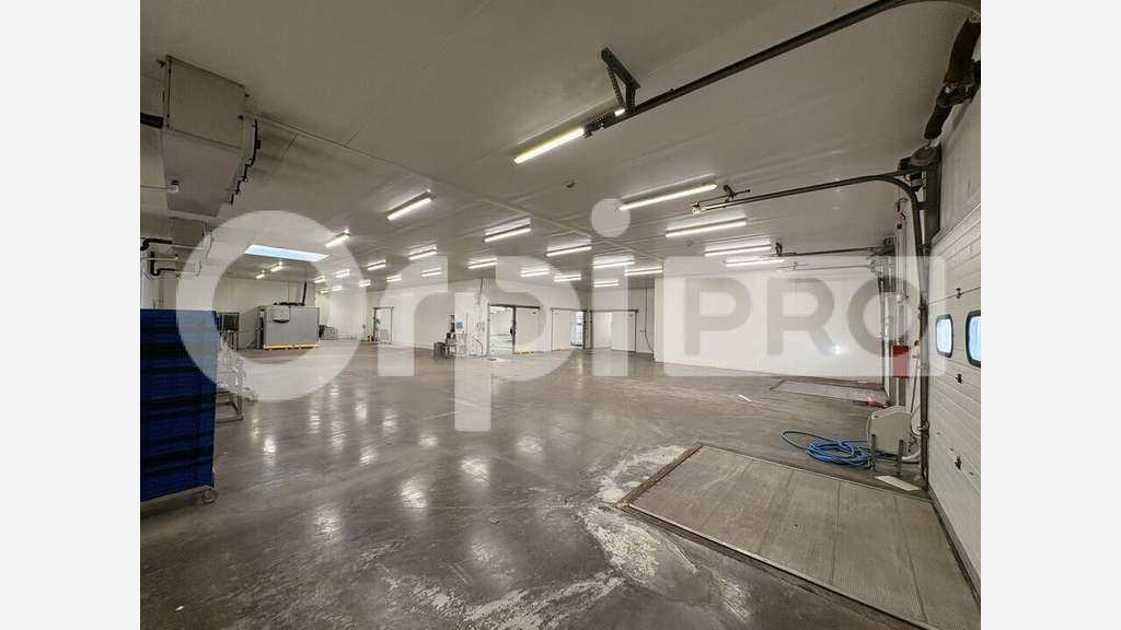 Vente site indus 1 950m² Belleville-en-Beaujolais