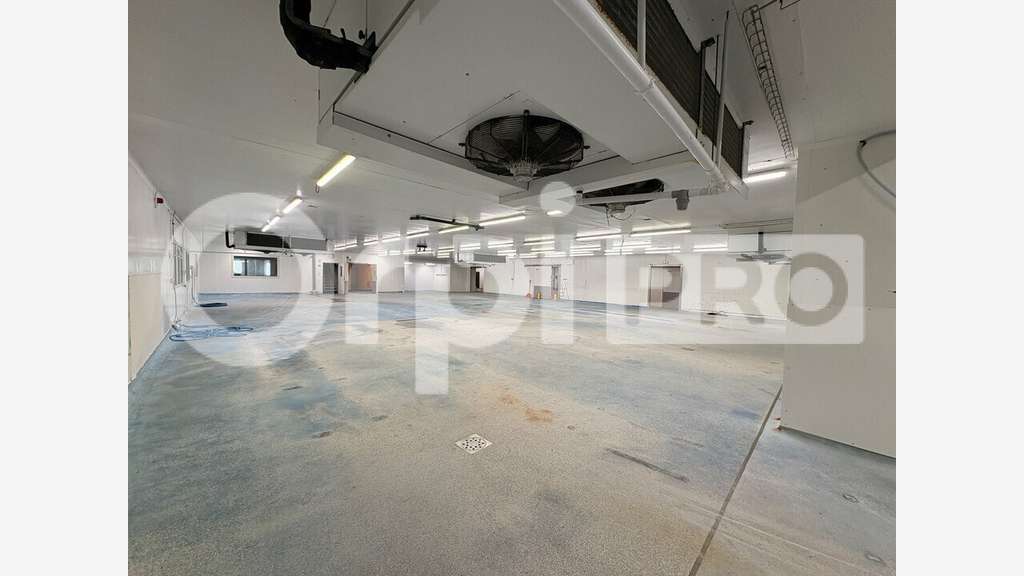 Vente site indus 1 950m² Belleville-en-Beaujolais