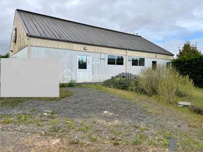 Vente Locaux d'activités - Entrepôts à Loireauxence