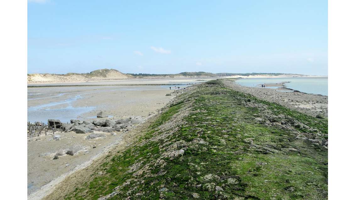 Vente murs restaurant 200m² secteur Opale Sud