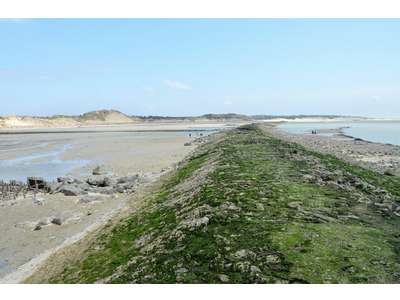 Vente Locaux d'activités - Entrepôts à Berck