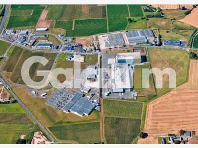 Vente local multi locataires loué à Brissac