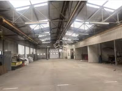 Local d'activité 540m² à vendre à Caluire-et-Cuire