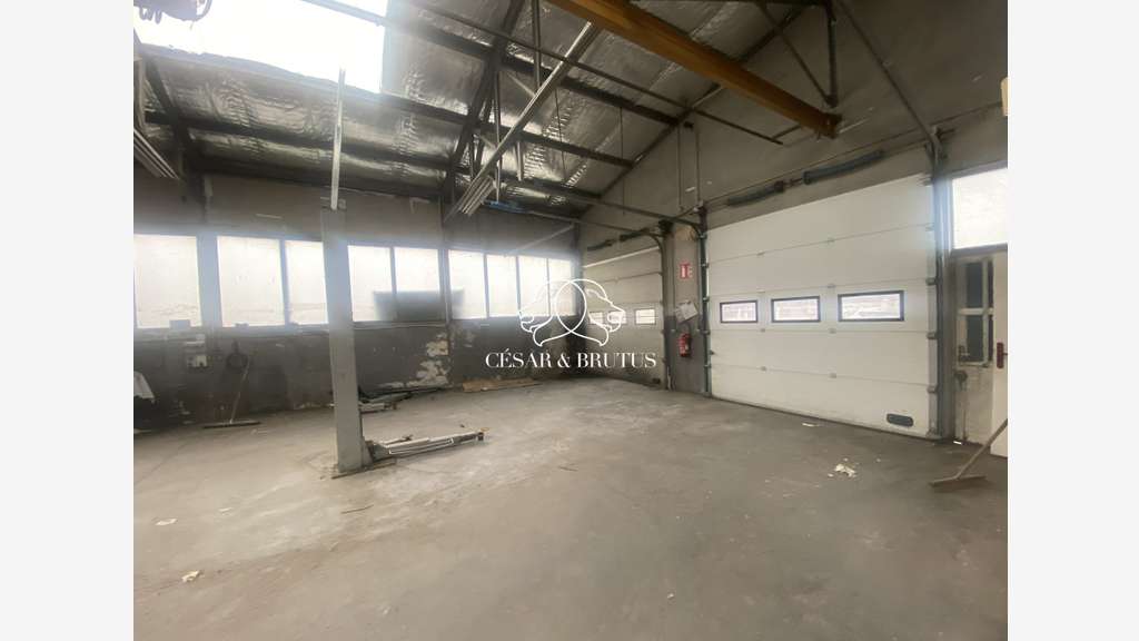 Local d'activité 540m² à vendre à Caluire-et-Cuire
