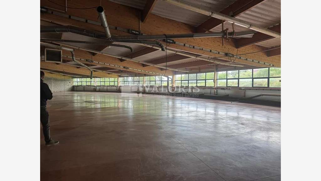 Bâtiment industriel 1700m² à vendre à Ceyzériat