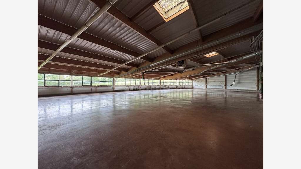 Bâtiment industriel 1700m² à vendre à Ceyzériat
