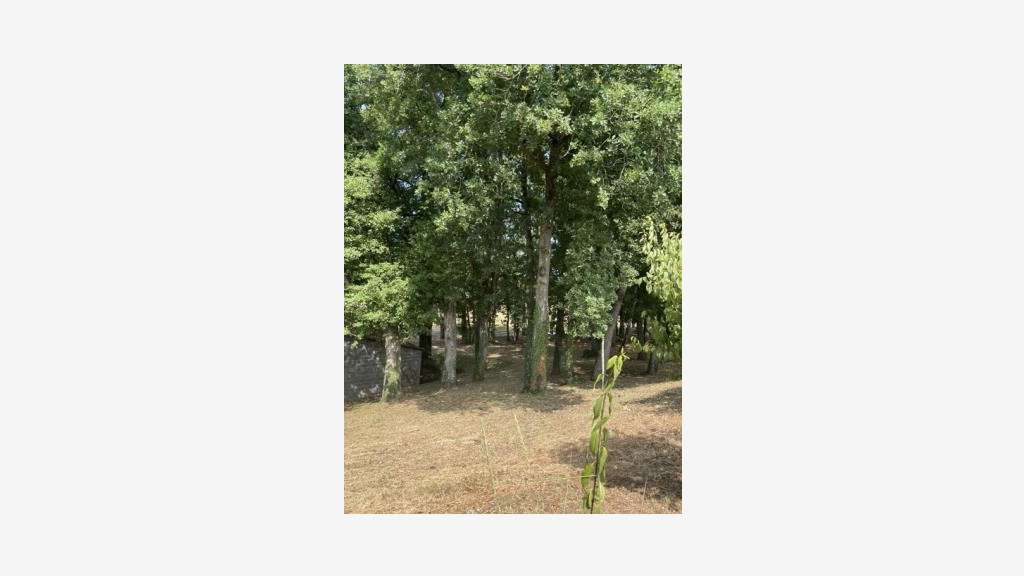 Vente maison et atelier à Châtellerault