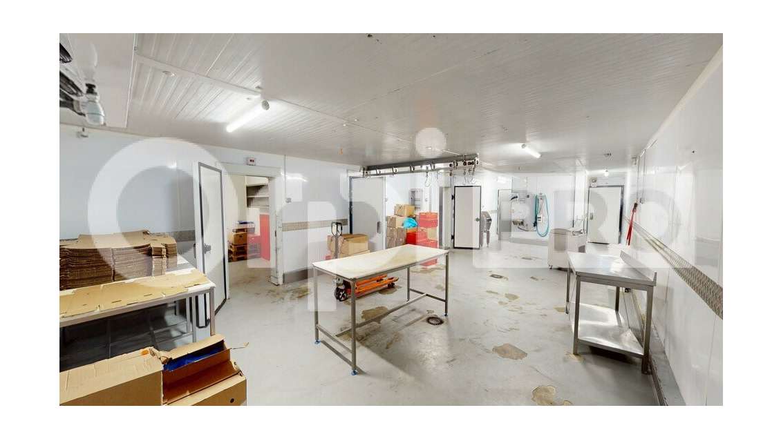 Local d'activité à Corbas  Vente ou Location