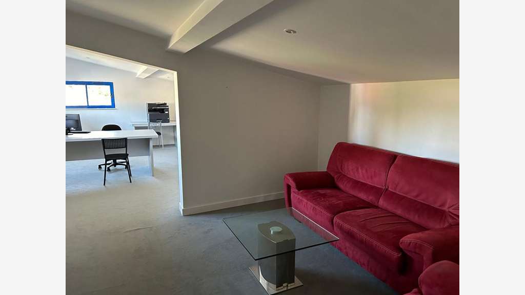 Vente ensemble commercial et pro 364m² à Couzeix
