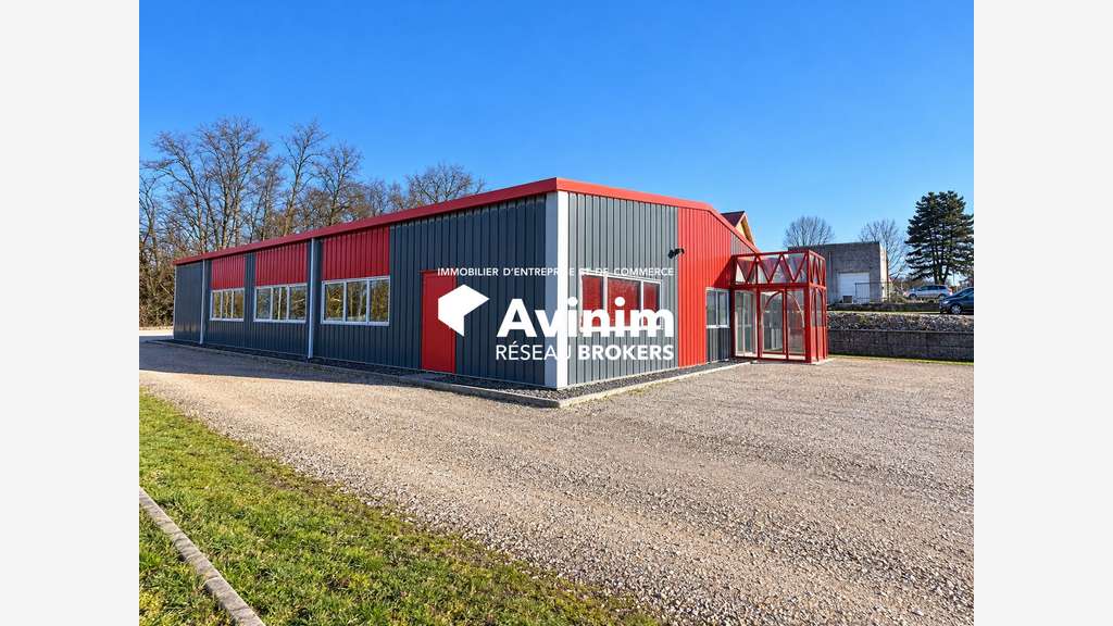 Vente local Industriel 381m² Dannemarie-sur-Crète