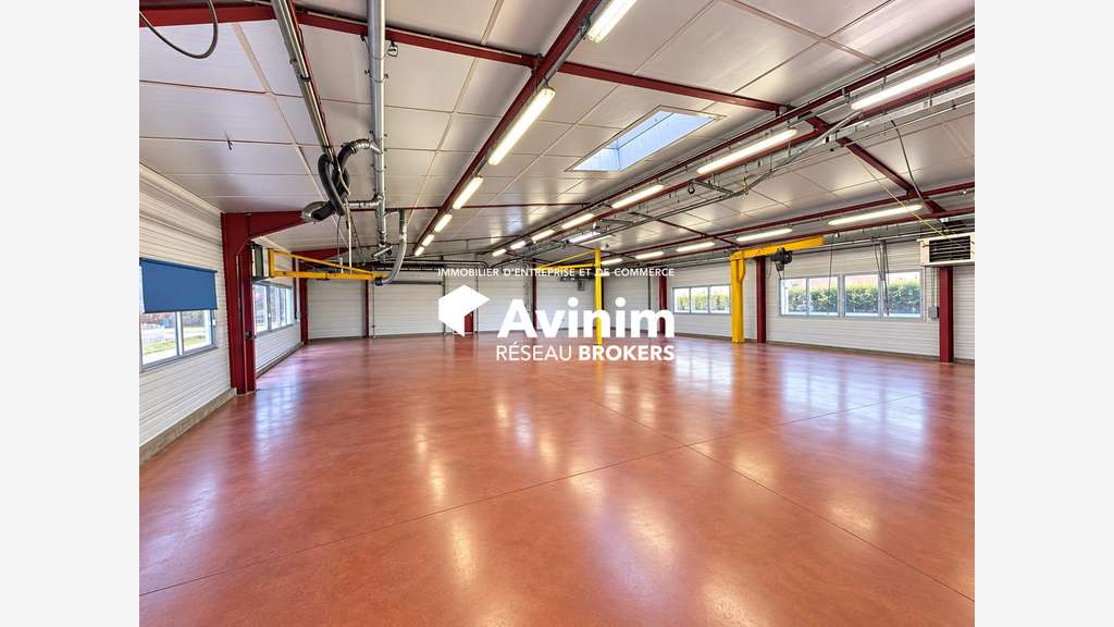 Vente local Industriel 381m² Dannemarie-sur-Crète