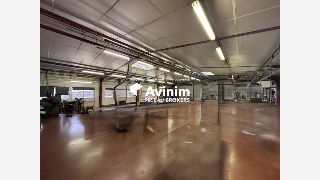 Vente local Industriel 381m² Dannemarie-sur-Crète